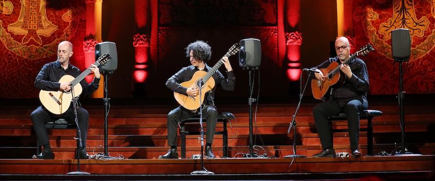 How Digitag PH Transforms Your Digital Marketing Strategy for Maximum ROI
